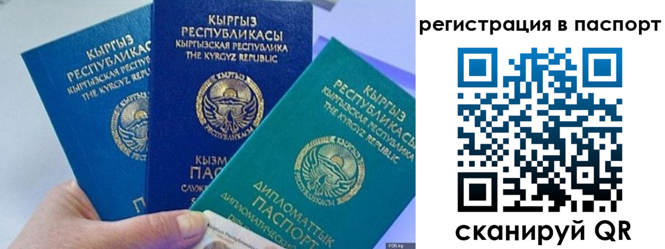 прописка 2025 в Михайловске